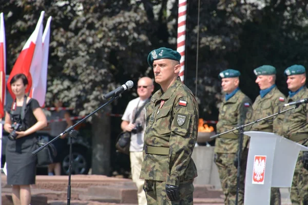 Polska armén dag — Stockfoto