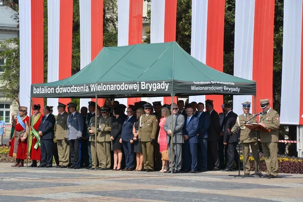 Dia polonês do exército — Fotografia de Stock