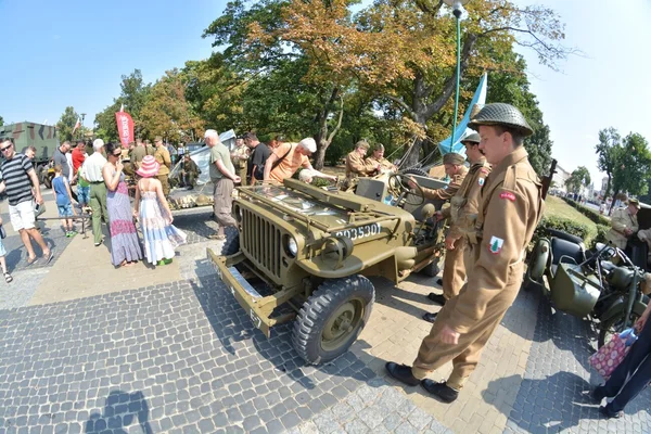 Lengyel hadsereg Day — Stock Fotó