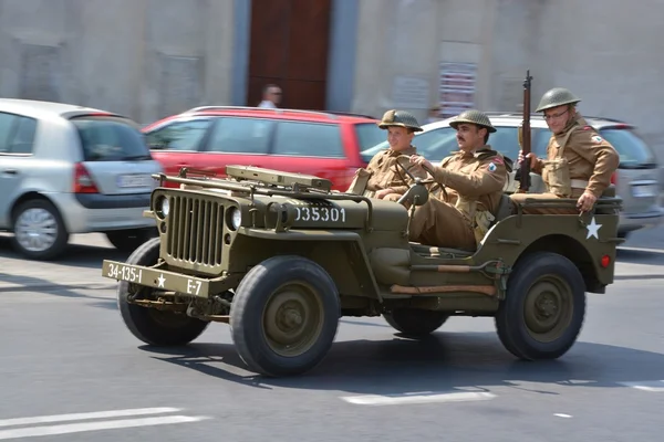 Dia polonês do exército — Fotografia de Stock