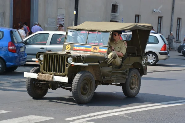 Dia polonês do exército — Fotografia de Stock