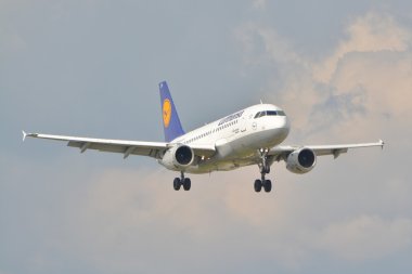 Uçak Airbus A319 görünümü