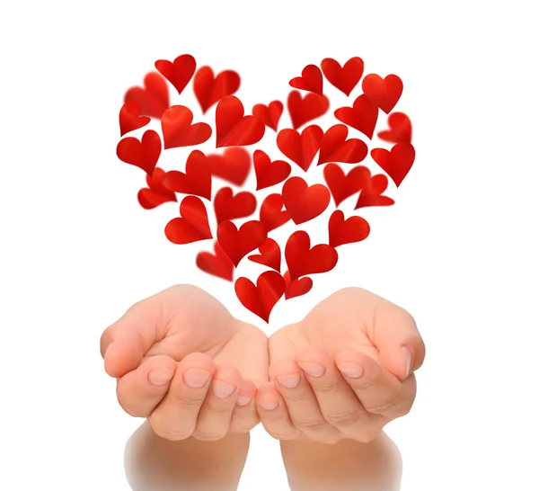 Srdce ve tvaru srdce, létání nad dlaní mladé ženy, k narozeninám, den svatého Valentýna, Happy Valentines den, pojem láska, izolovaných na bílém pozadí, koncepce zdravotního pojištění, srdce jsou vyrobeny z okvětních plátků Stock Obrázky