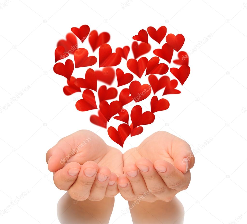 Hearts in heart shape flying over cupped hands of young woman, birthday card, Valentine's Day, Happy Valentines day, love concept, isolated on white background, health insurance concept, hearts are made from flower petals