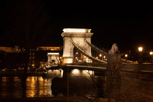 Zincir köprü Budapeşte gece görünümü
