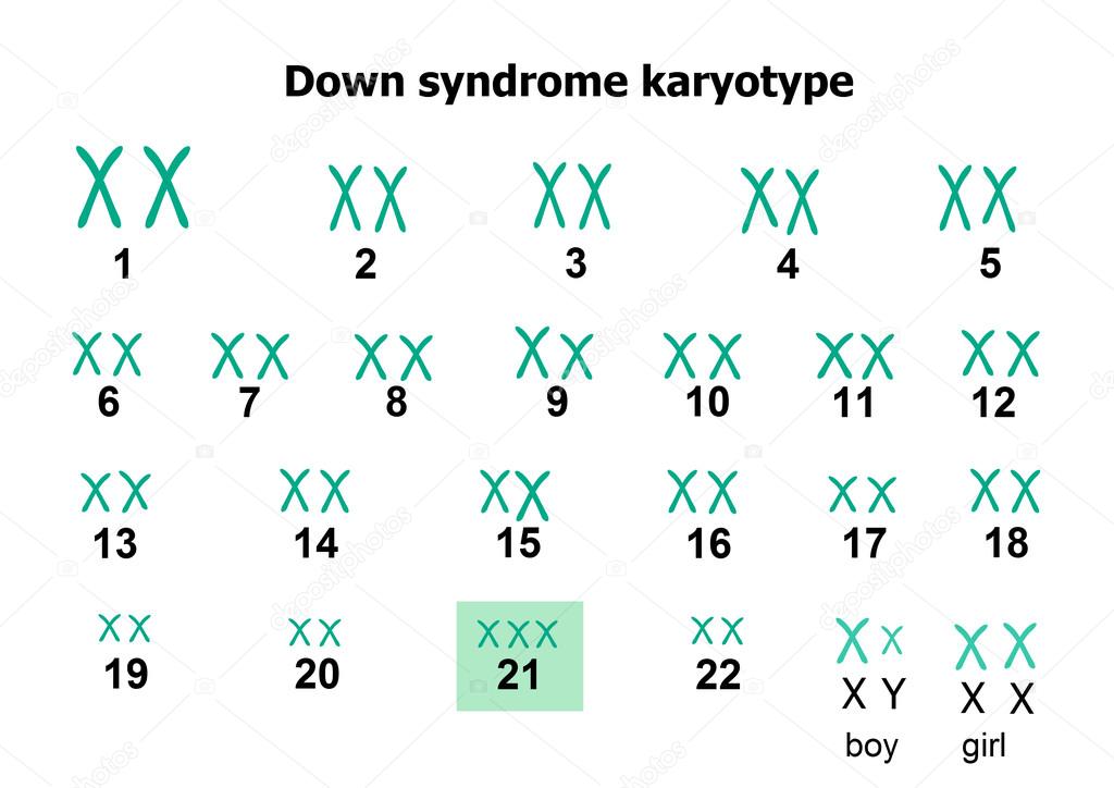 download hormones and reproduction