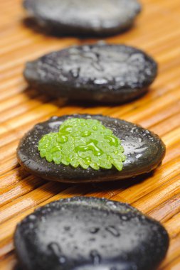 Zen Bahçesi satır içinde taş olan