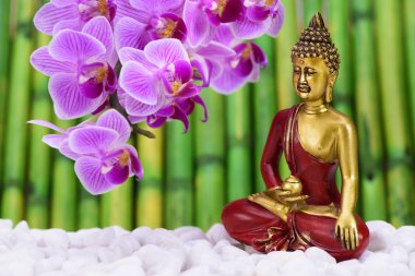 Buda Zen bahçesinde oturuyor