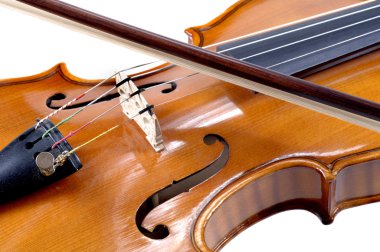 detail of violin