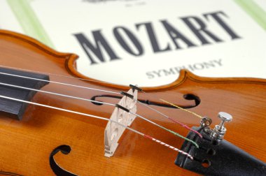 detail of violin clipart