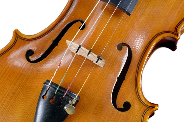 Detail of violin — Stock Photo, Image