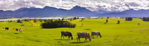 Paisaje panorámico en Baviera —  Fotos de Stock