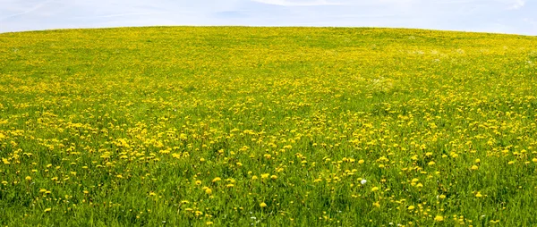 Bavyera 'daki panorama manzarası — Stok fotoğraf