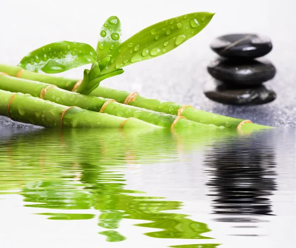 Asian zen garden — Stock Photo, Image