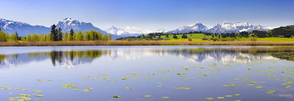 Panorama landschap in Beieren met prachtige vijver — Stockfoto