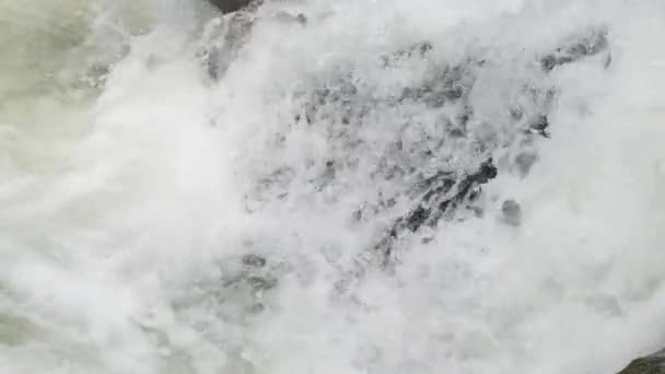 Ruisseau avec cascade dans les montagnes de Bavière — Video