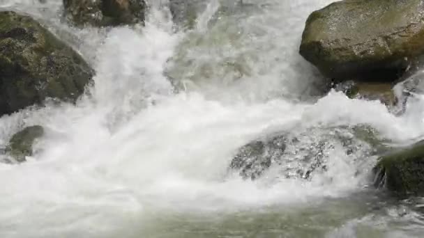 Ruisseau avec cascade dans les montagnes de Bavière — Video