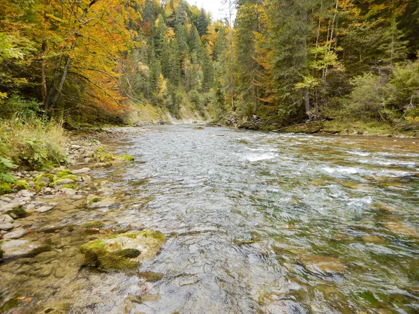 Rzeka stream w górach — Zdjęcie stockowe