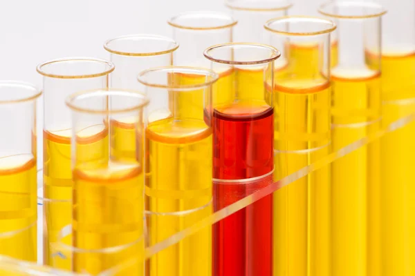 Chemistry laboratory with glassware — Stock Photo, Image