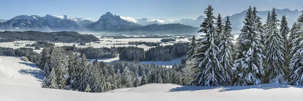 Panoramisch Landschap Winter Met Bergen Beieren — Stockfoto