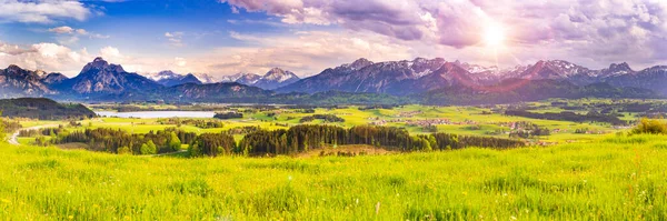 Panoramic Landscape Bavaria Alps Mountains Meadow Springtime — Stock Photo, Image