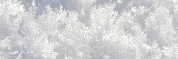 Detail Čerstvého Sněhu Zimě — Stock fotografie