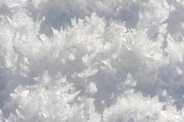 Подробности Свежего Снега Зимой — стоковое фото