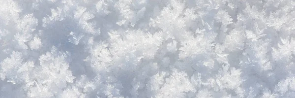 Detail Čerstvého Sněhu Zimě — Stock fotografie