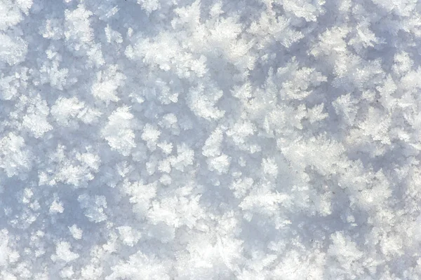Подробности Свежего Снега Зимой — стоковое фото