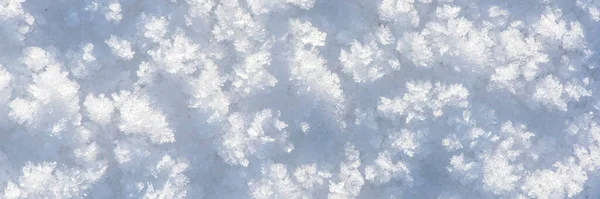 Detalhe Neve Fresca Inverno — Fotografia de Stock