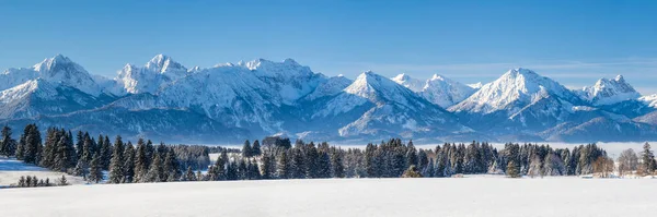 Панорамный Пейзаж Зимой Альпийскими Горами Баварии — стоковое фото