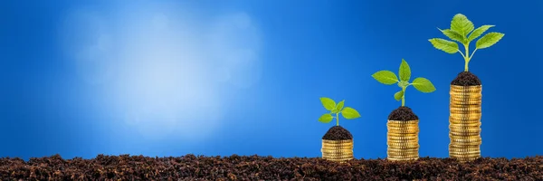 Growing Plants Stacked Coins Shows Financial Success — Stock Photo, Image