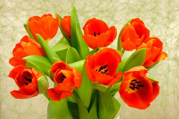 Tulpenblumen Als Geschenk — Stockfoto