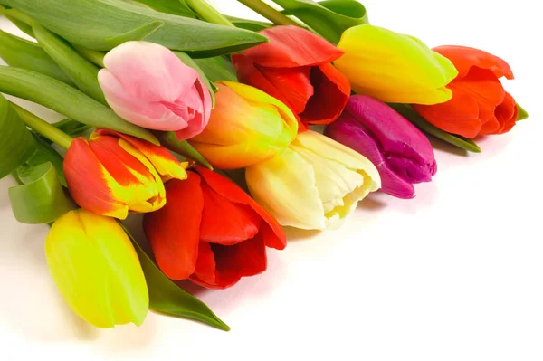 Tulipánové Květiny Jako Dárek — Stock fotografie