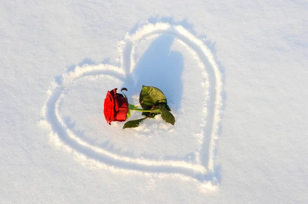 Σχήμα Καρδιάς Σημαδεμένο Στο Χιόνι Κόκκινο Τριαντάφυλλο — Φωτογραφία Αρχείου