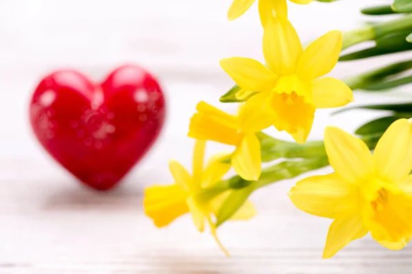 Flores Tulipán Como Presente — Foto de Stock