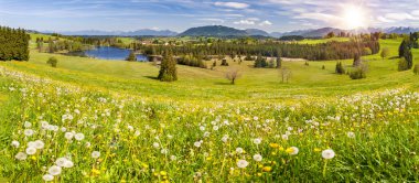 İlkbaharda Almanya, Bavyera 'da çayır ve göl manzarası