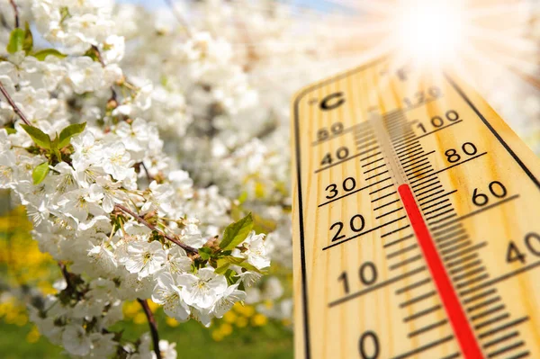 Température Chaude Sur Thermomètre Printemps — Photo