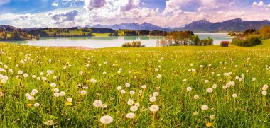 Almanya, Bavyera 'da güzel panoramik manzara