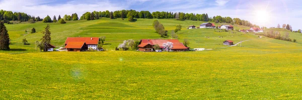 Gyönyörű Vidéki Táj Bajorországban Hegyvonulattal Rét Tavasszal — Stock Fotó