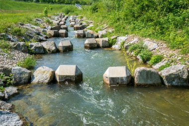 Akıntıda yumurtlayan balıkların göç için merdiven