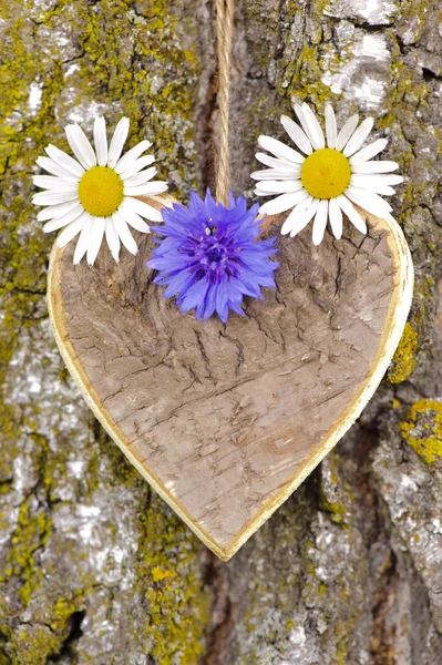 Herz der Liebe auf Baumrinde — Stockfoto