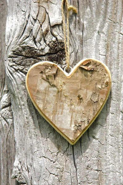 Деревянное сердце у дерева — стоковое фото