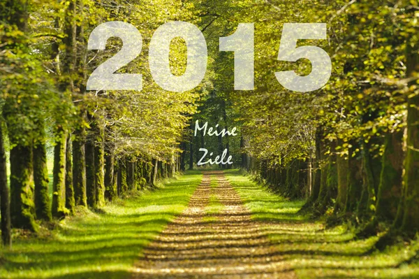 Шлях до Нового 2015 року — стокове фото
