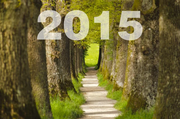 El camino hacia el nuevo año 2015 — Foto de Stock