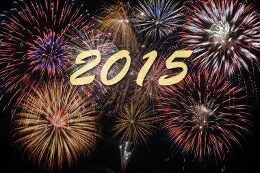 Yeni yıl 2015