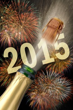 Yeni yıl 2015