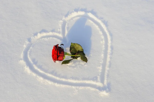 Coração na neve — Fotografia de Stock