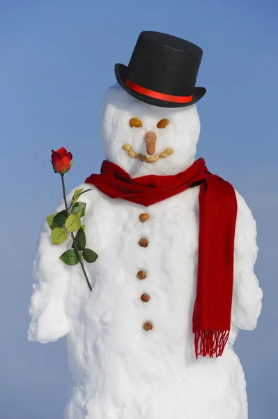 Glücklicher Schneemann als Liebhaber mit Rose — Stockfoto