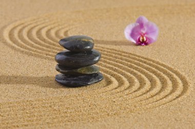 Japon Zen Bahçesi
